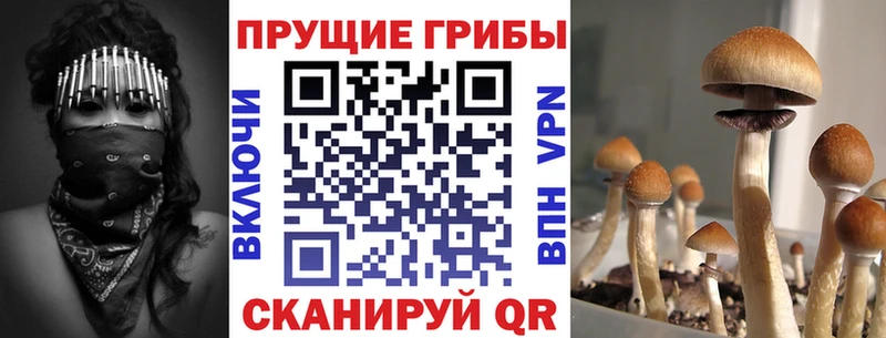 Галлюциногенные грибы GOLDEN TEACHER  Купить закладки  Заинск 