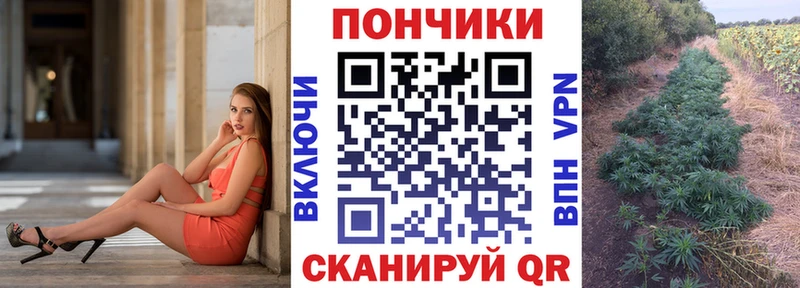 Купить где  Заинск  МАРИХУАНА MAZAR 